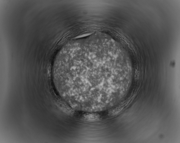 X0000099960561200806201340