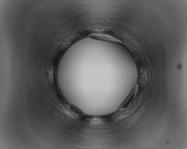 X0000099960562200806201340