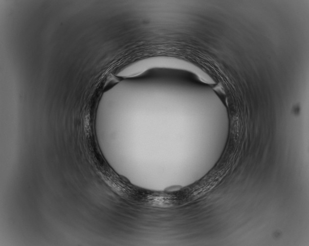 X0000099960564200806201340
