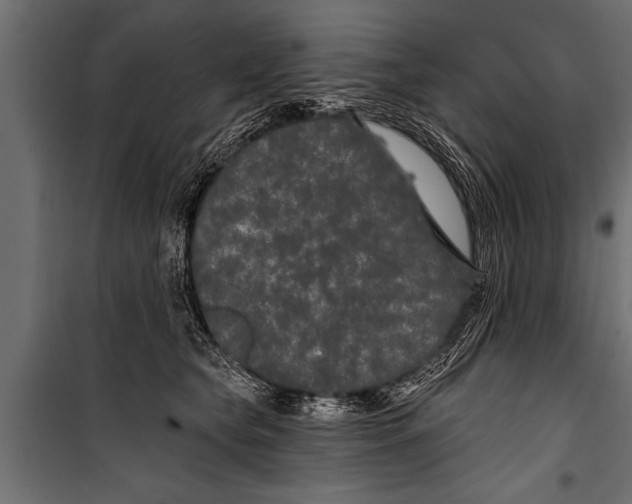 X0000099960565200806201340