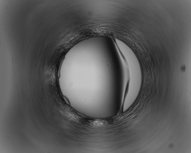 X0000099960566200806201340