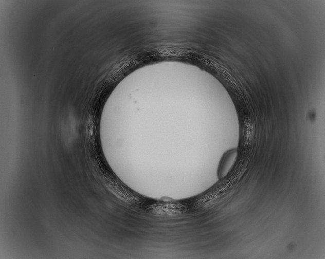 X0000099960567200806201340