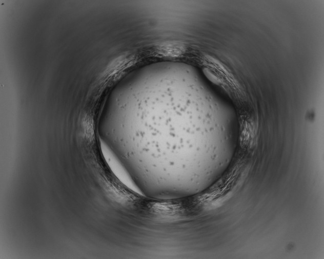X0000099960568200806201340
