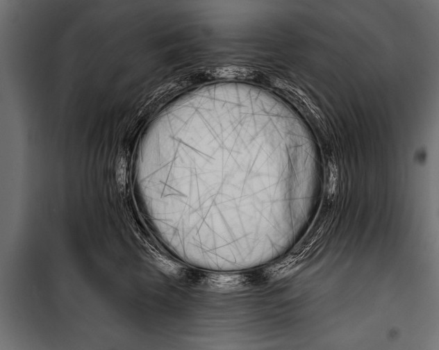 X0000099960569200806201340