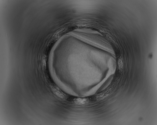 X0000099960570200806201340