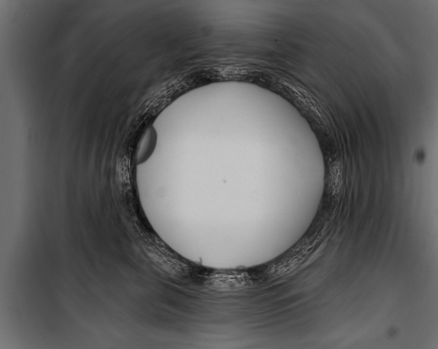 X0000099960571200806201340
