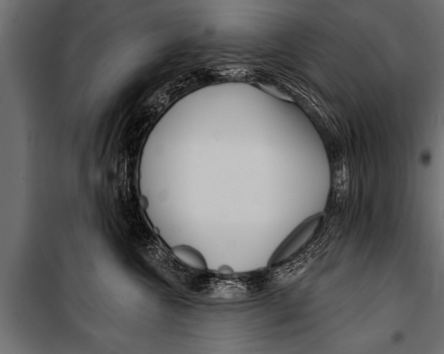 X0000099960572200806201340
