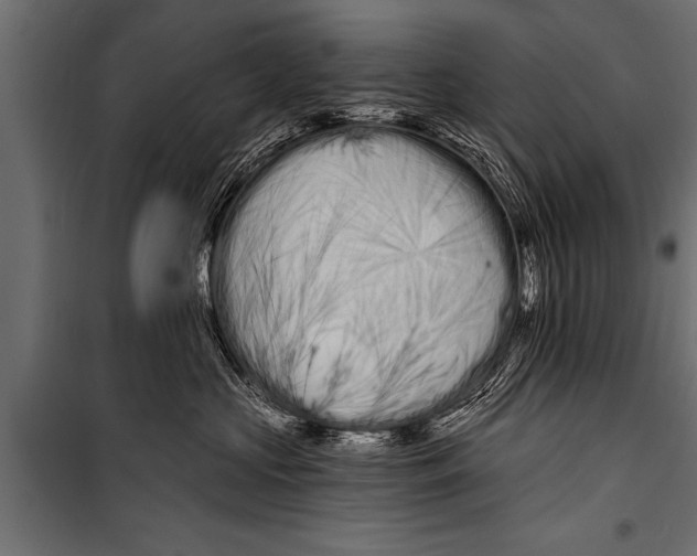 X0000099960573200806201340