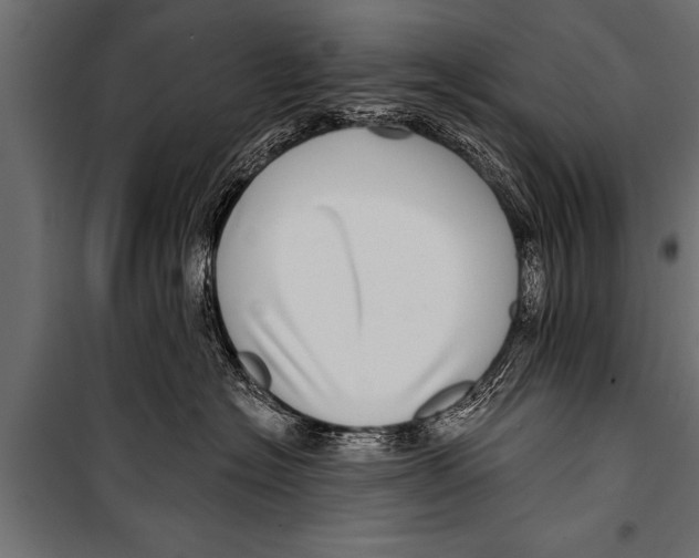 X0000099960574200806201340