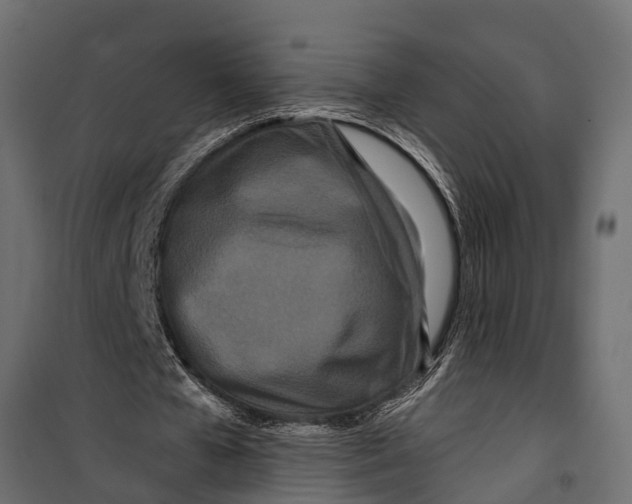 X0000099960577200806201339