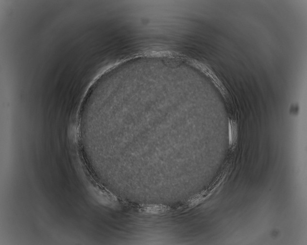 X0000099960579200806201339