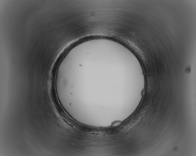 X0000099960580200806201339