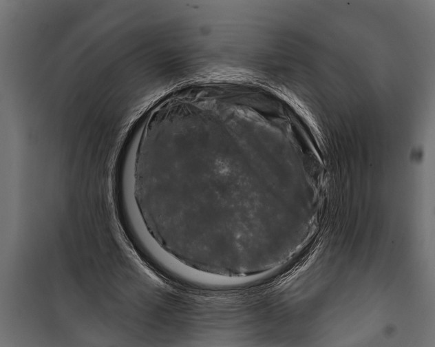 X0000099960581200806201339