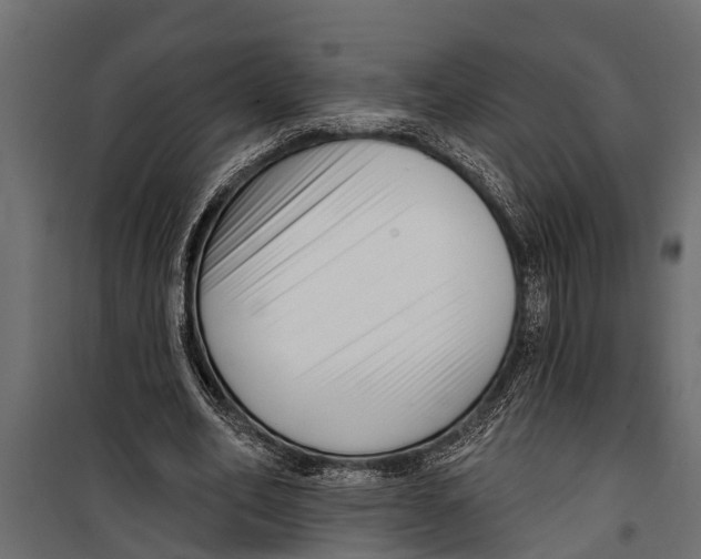 X0000099960582200806201339