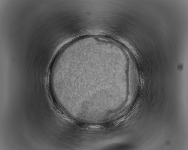 X0000099960583200806201339