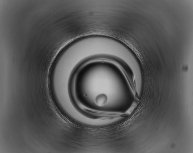 X0000099960584200806201339