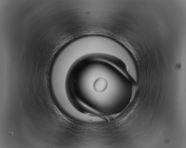 X0000099960585200806201339