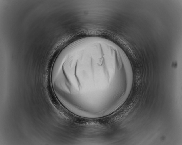 X0000099960586200806201339