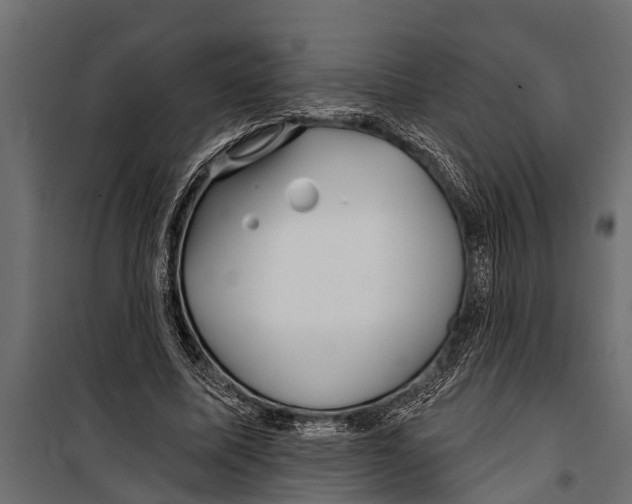 X0000099960587200806201339