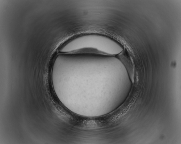 X0000099960588200806201339