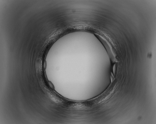 X0000099960589200806201339