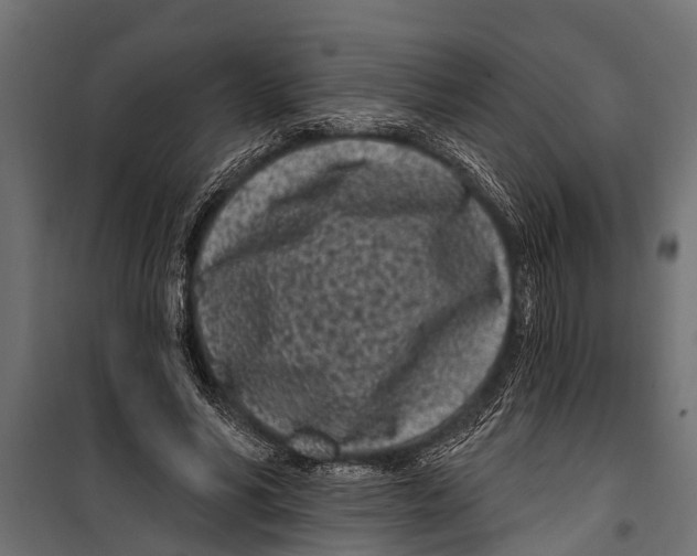 X0000099960590200806201339