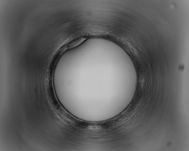 X0000099960591200806201339