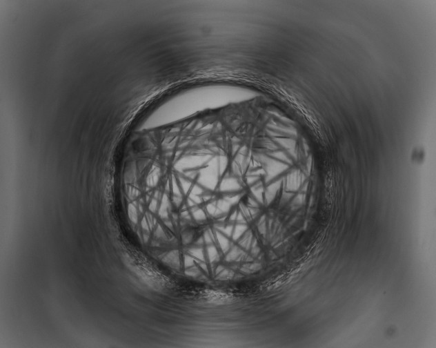 X0000099960592200806201339