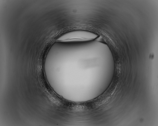 X0000099960593200806201339