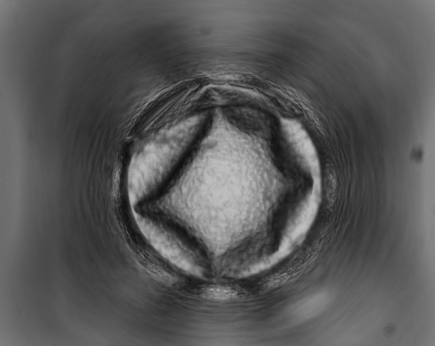 X0000099960596200806201339