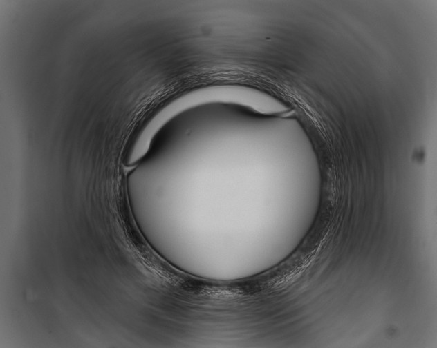 X0000099960597200806201339