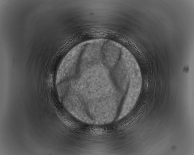 X0000099960598200806201339