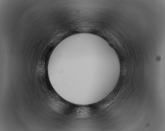 X0000099960599200806201339