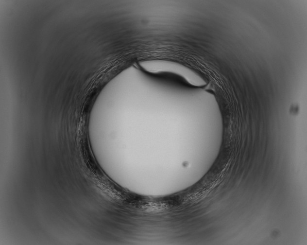 X0000099960601200806201339