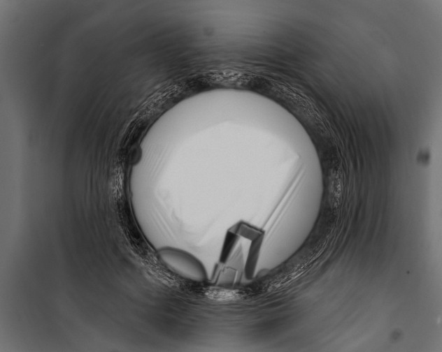 X0000099960602200806201339