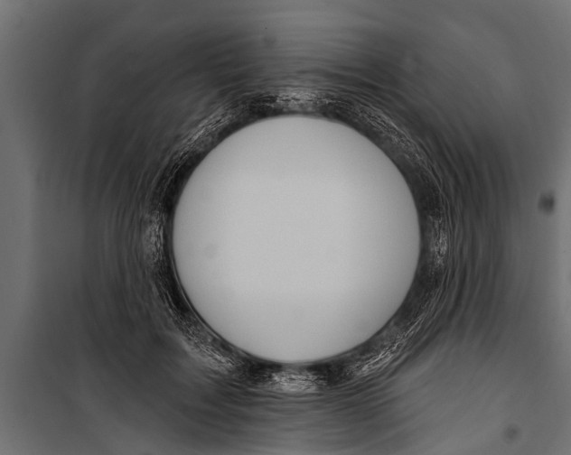 X0000099960603200806201339