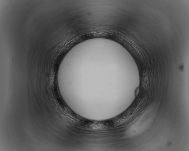 X0000099960604200806201339