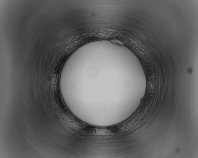 X0000099960605200806201339