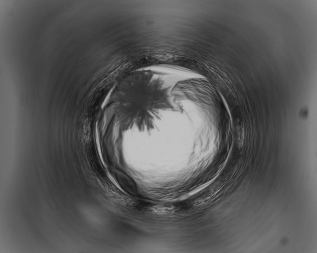 X0000099960606200806201339