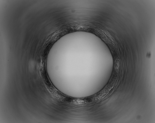 X0000099960607200806201339