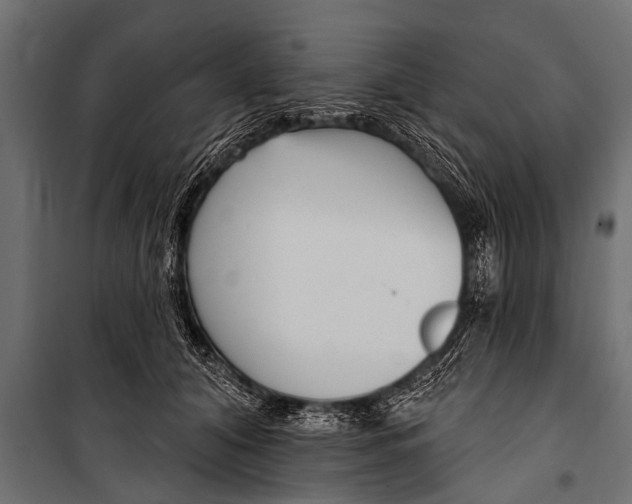 X0000099960608200806201339
