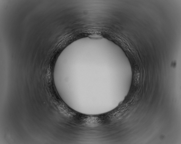 X0000099960609200806201339