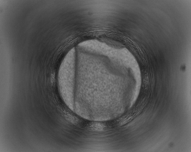 X0000099960610200806201339