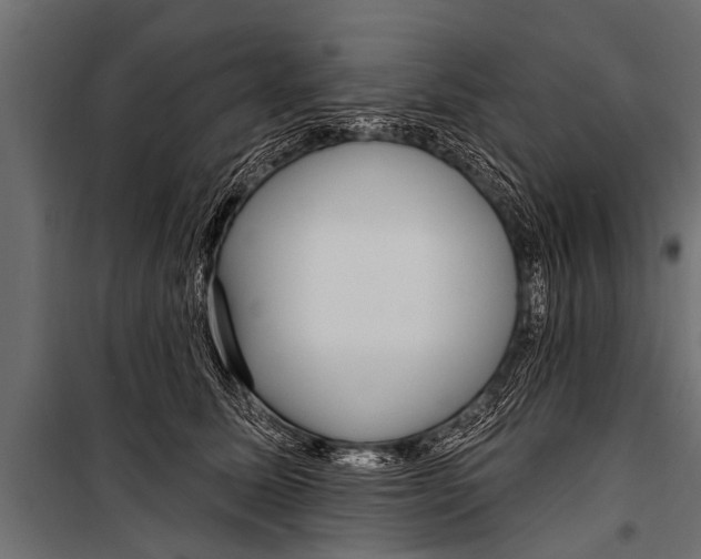X0000099960611200806201339