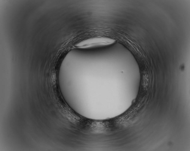 X0000099960613200806201339