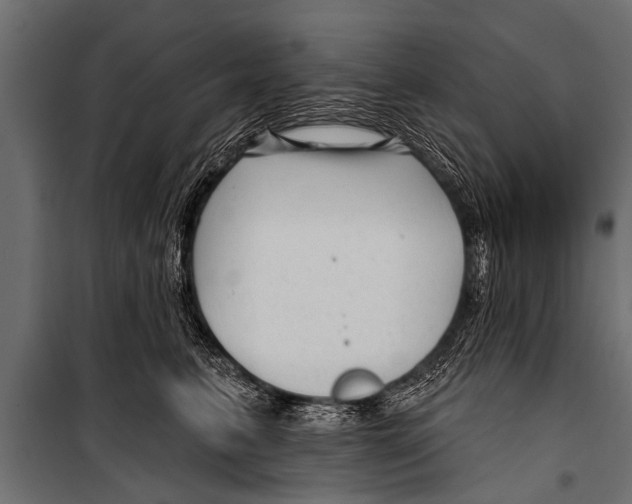 X0000099960615200806201339