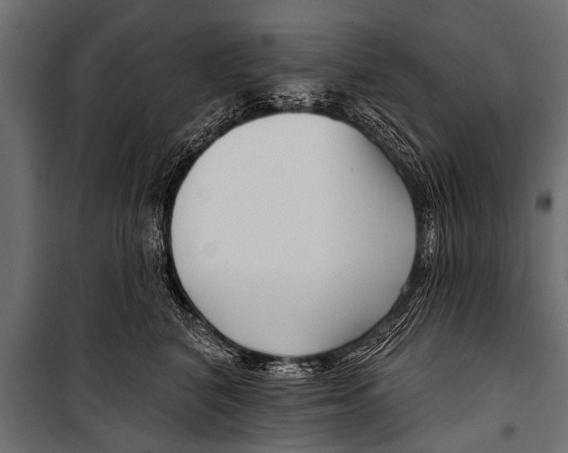 X0000099960616200806201339