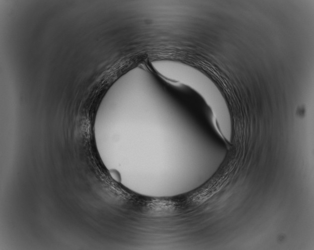 X0000099960617200806201339