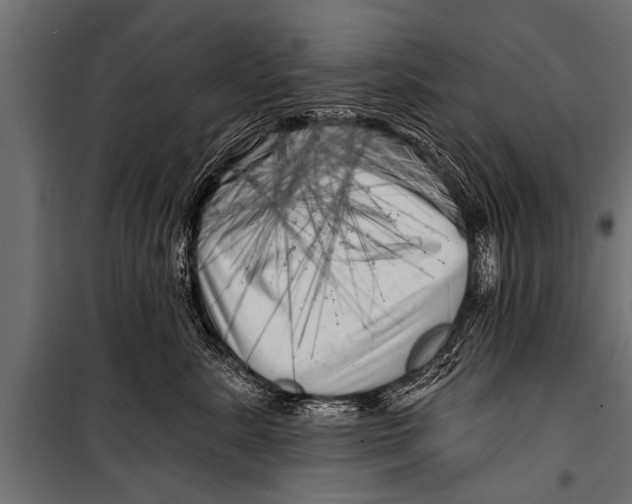 X0000099960619200806201339