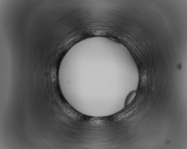 X0000099960620200806201339